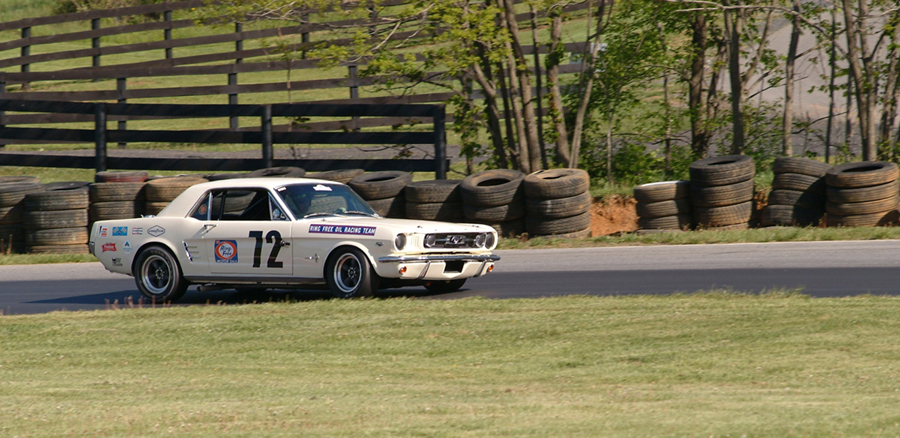 Shelby Notchback Mustang